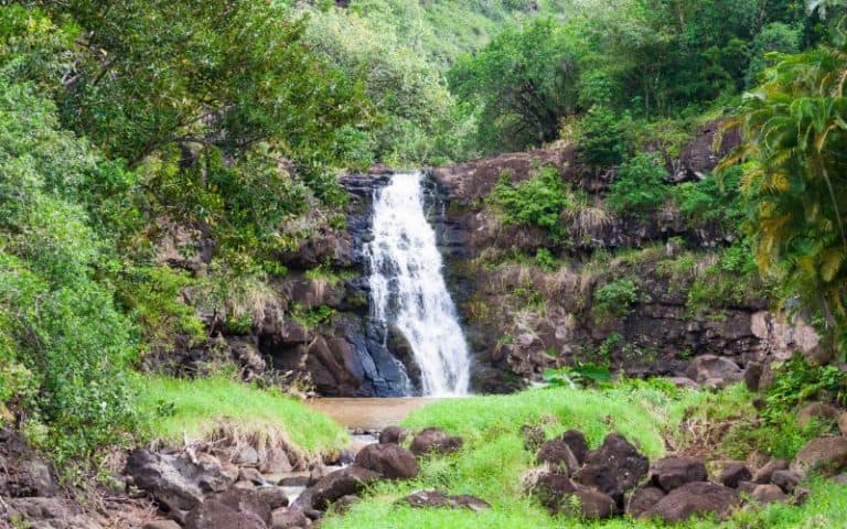 8 Best Waterfall Hikes in Oahu (& Which Ones to Avoid)