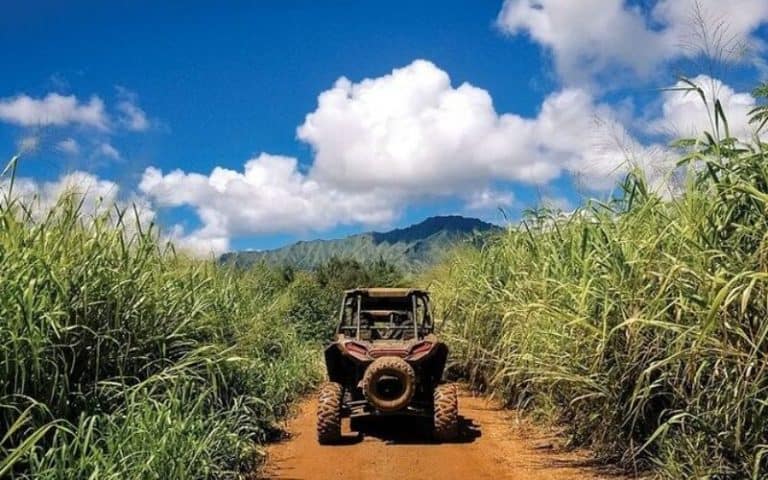 3-7 Day Kauai Itinerary for First Time Visitors (2026)