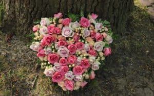 Can You Bring Flowers on a Plane? Traveler's TSA Guide (2026)